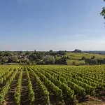 Chateau D\'Arche, Grand Cru Classe De Sauternes 