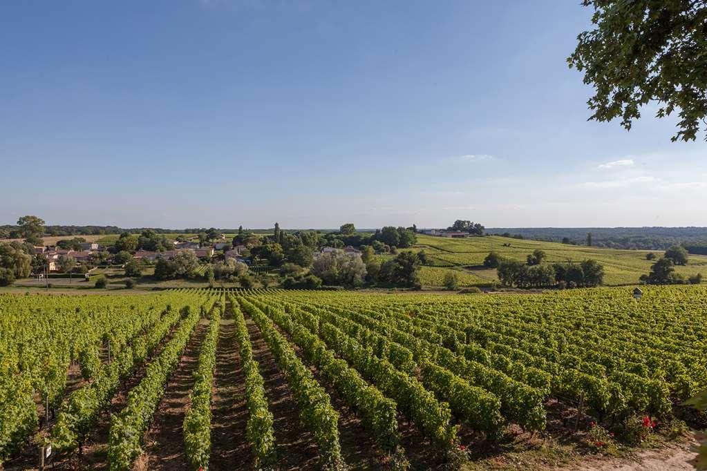 Hotel Du Château D'arche, Grand Cru Classé De