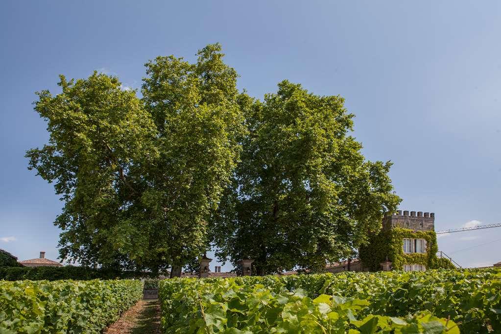 Chateau D'arche, Grand Cru Classe De Hotel 4*